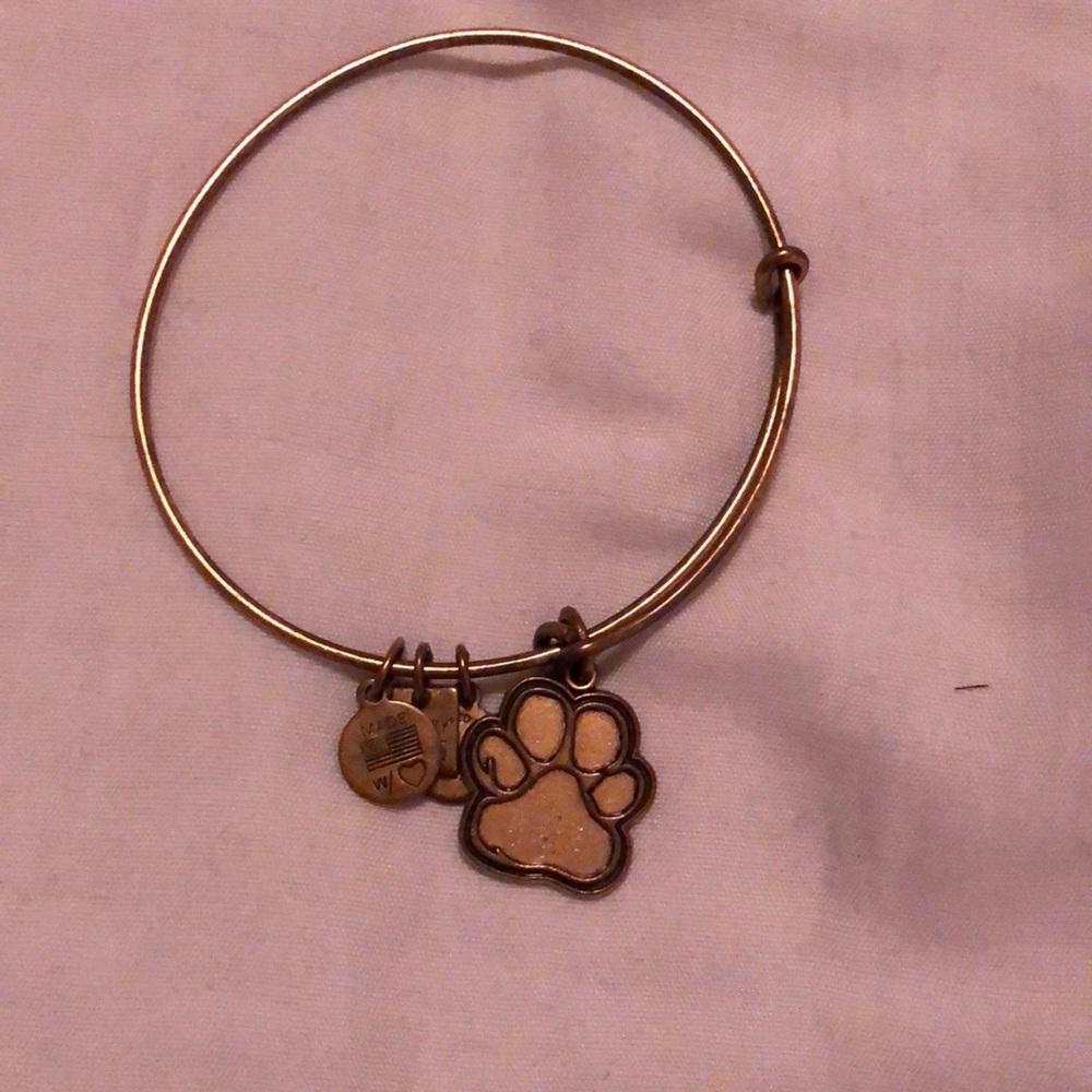 - Alex and Ani Bracelet
